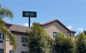 Citrus Suites Redlands Loma Linda Hotel